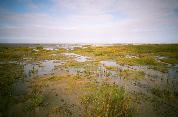 North Sea Beach